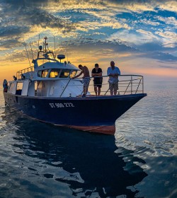 Émerillon inox 316 - Coopérative Maritime du Pays Bigouden